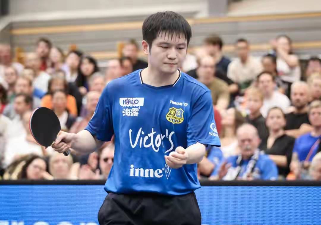 惊心动魄！樊振东22分钟横扫纽汀克，德甲首取3-0豪夺三连胜